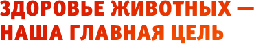 Качественное ветеринарное обеспечение Качественное ветеринарное обеспечение