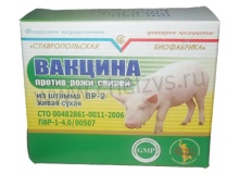 Вакцина против рожи свиней из штамма ВР-2 живая сухая